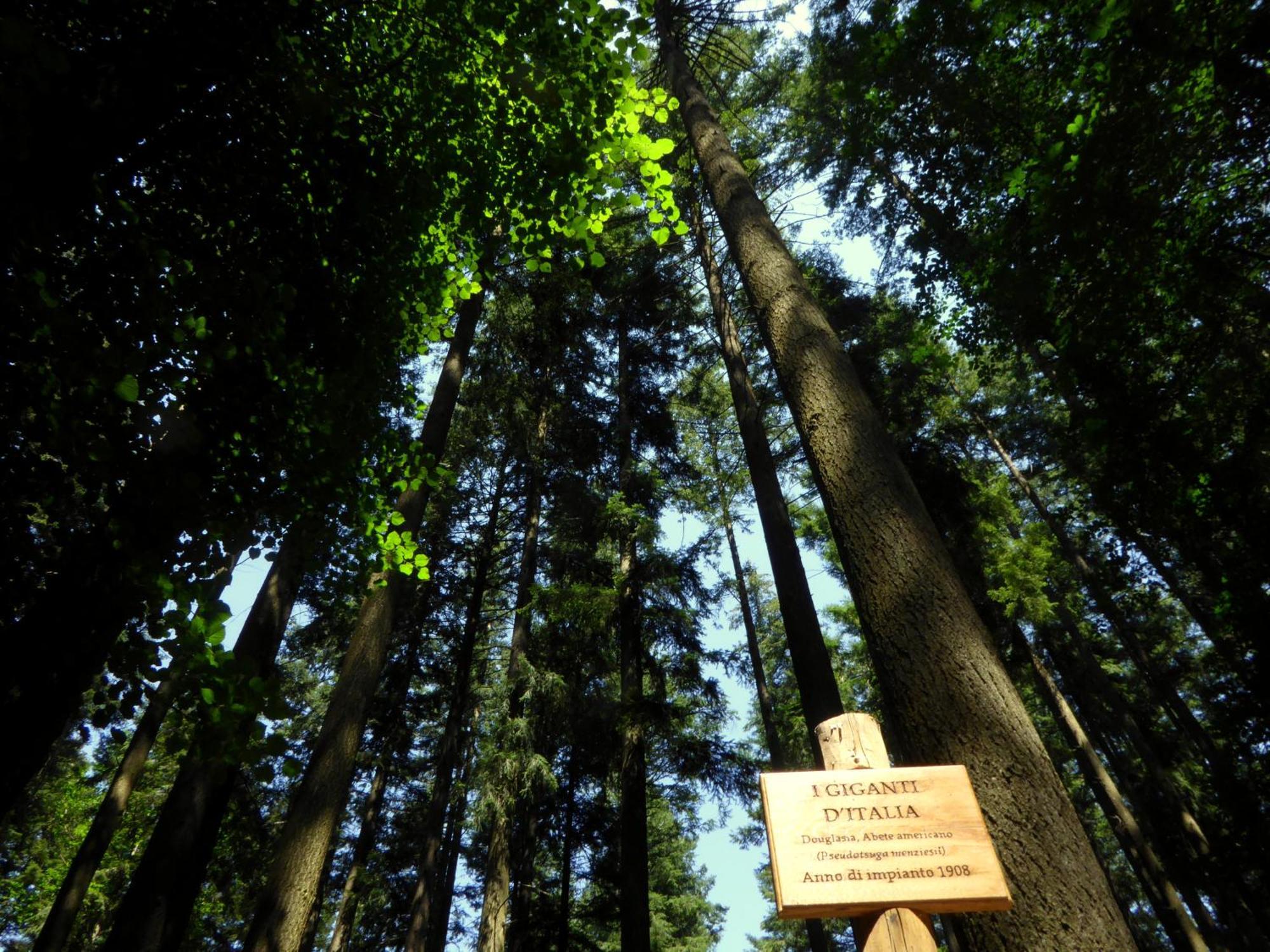 Hotel Rifugio La Foresta Vallombrosa Ngoại thất bức ảnh